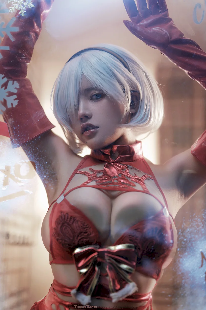 《尼尔机械纪元2B》  –  45套COS